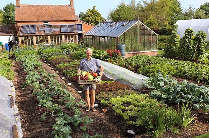 How to Grow Roses Successfully in Your Garden Year After Year