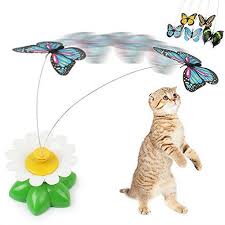 Amazon Com Seller Profile Rainflower Pet Cat Toys Cat Toys Pet Kitten