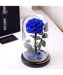 يجب ان يحفظ في مكان بارد وجاف ولا يلمس مباشرة. ÙˆØ±Ø¯ Ø§Ø²Ø±Ù‚ Ø¯Ø§Ø¦Ù… Ø·Ø¨ÙŠØ¹ÙŠ Ù…Ø­ÙÙˆØ¸ Ø«Ù„Ø§Ø«ÙŠØ© Rose Gift Flower Delivery Gifts