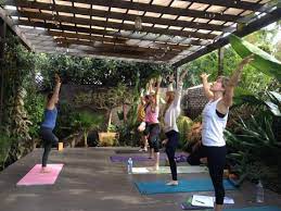 After our exhilarating west hollywood yoga class you'll have plenty of energy and stamina to visit these most popular west hollywood attractions Kylie Gilbert Yoga Teacher In West Hollywood