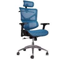 High Back Blue Full Mesh Butterfly Ergonomischer Bürostuhl Chief Executive  Chair für Gesundheit mit Kopfstütze