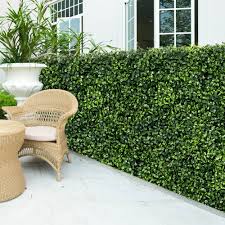 10 great plants for a privacy screen in houston. 12 Pcs Artificial Boxwood Privacy Screen Faux Plant Wall 20 X20 Overstock 31569016