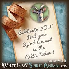 Maybe you would like to learn more about one of these? What Is My Spirit Animal By Birthday Zodiac Animals Birth Animal Totems