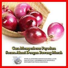 Goreng beras tanpa minyak dan kisarkannya sehingga hancur. Pin Di Alat Pembesar Payudara Mhca