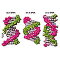 It seemed that this book followed me everywhere for a while, from my facebook feed to my instagram stories. Dna Damage And Mutation Types Of Dna Damage