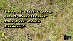 A nice, thick lawn requires healthy soil as its base, but this can be difficult to do once grass is established. Results Of Adding Lime And Fertilizer To Lawn Before And After Fertilizer Lawn Fertilizers