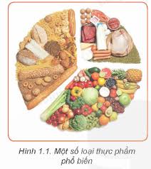 Bài 1. Thành phần dinh dưỡng trong thực phẩm trang 5, 6, 7, 8, 9, 10, 11,  12 SGK Công nghệ 9 Kết nối tri thức | SGK Công nghệ 9 - Kết nối tri thức