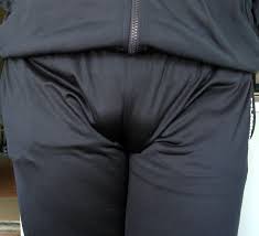 Image result for cameltoe