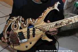 strange guitarì ëí ì��ë¯��ì�� ê��ìê����ê����