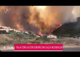 In quei boschi viveva una popolazione di almeno 400 cervi, volpi, cinghiali e tantissimi altri animali selvatici. 3b11mlvincin7m