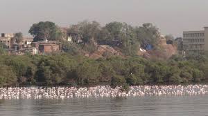 Sewri Fort - Mumbai