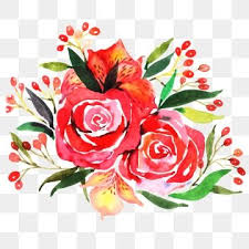 Red Flowers Watercolor Flower Flowers Illustration Plant Flower Petal Beautiful Flowers Png Transparent Clipart Image And Psd File For Free Download In 2020 Flower Illustration Watercolor Flower Illustration Watercolor Flowers