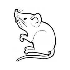 dessins gratuits a colorier coloriage souris imprimer elsa images pour des citations