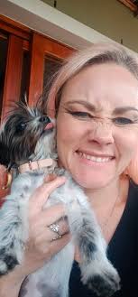 Yorkie and corgie/chihuahua/terrier mix puppy update