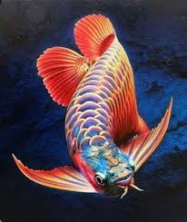 Pin By Guillermocolba On Jj In 2020 Freshwater Aquarium Fish Aquarium Fish Dragon Fish
