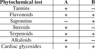 Image result for Xanthocercis