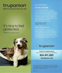 We're on the lookout for individuals who are passionate about pets and open to new opportunities. Trupanion Medical Insurance For Your Pet Academy Pet Hospital