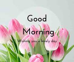 Monday good morning wishes with flowers. 150 Beautiful Good Morning Images Best Collection