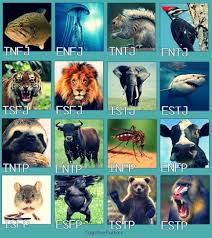 Hahaha These Are Hilarious Where S My Harem Of Enfps Enfp Personality Mbti Infj Personality