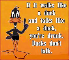 Pin By Sara Tomlinson On Jorgen Funny Quotes Funny Cartoon Quotes Sarcastic Quotes Funny