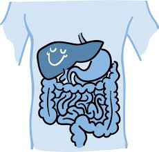 Liver cancer is an uncommon but serious type of cancer that begins in the liver. Your Liver Delivers Nih News In Health