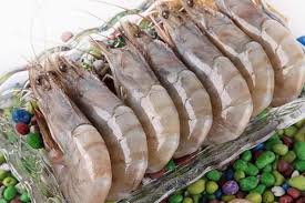 Check spelling or type a new query. 8 Jenis Udang Paling Populer Dan Enak Di Indonesia
