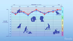 Audiogram Overview