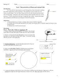 Maybe you would like to learn more about one of these? How Do Animal And Plant Cells Work Virtual Lab Answers Animal West