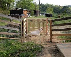 山羊の柵復活｜えみおわす