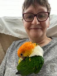 Introducing myself and sharing a photo of my Caique