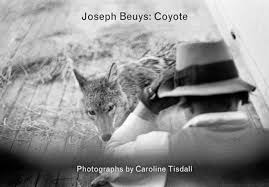 This was a typical performance by joseph beuys—mysterious, incomprehensible, in many ways absurd, yet strangely memorable. Joseph Beuys Coyote Photographs By Caroline Tisdall Exhibition At Large Glass In London
