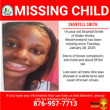 AnandaAlert #FindShantell Shantell Smith, a 14-year-old from Water Works,  Westmoreland has been reported missing. She was last seen