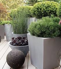 Size matters when it comes to outdoor potting plants. Google Image Result For Http Www Anoctopussgarden Com Ecofriendly Inspiration Architectural Plants Outdoor Planters Large Outdoor Planters