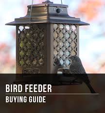 As suggested by another commenter, after soaking in the ten percent bleach solution, the feeders must be carefully rinsed with clean water to remove all traces of bleach. Bird Feeder Buying Guide At Menards