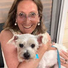 Happy Tails Alumns — Toby's Rescue Finding Homes for Sato Dogs