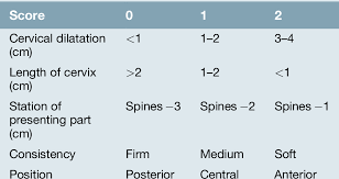 Image result for Bishop Score