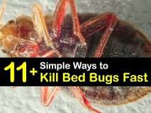 Image result