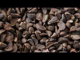 ينصح الشيوخ عادة استعمال بخور الحرمل فعلاج العديد من المشكلات التي يعانى منها البعض اضرار بخور الحرمل , مخاطر استنشاق بخور الحرمل ضرر بخور الحرمل Ù‡Ù„ ØªØ¹Ù„Ù… Ù…Ø§Ø°Ø§ ÙŠÙØ¹Ù„ Ø§Ù„Ø­Ø±Ù…Ù„ Ø¨Ø¬Ø³Ù… Ø§Ù„Ø¥Ù†Ø³Ø§Ù† Ø³Ø¨Ø­Ø§Ù† Ø§Ù„Ù„Ù‡ Youtube