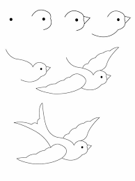 Pin Van Zeynep Op Cizim Vogels Tekenen Drawing Lessons Krabbel Kunst Tekeningen