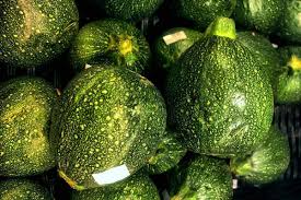 Book a free trial today! 23 Types Of Squash Jessica Gavin