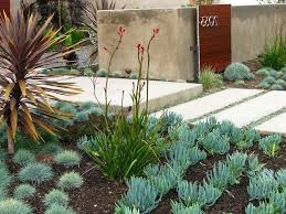 Landscape Gardening Rugby Landscape Gardening Manchester Modern Landscaping Modern Landscape Design Kangaroo Paw