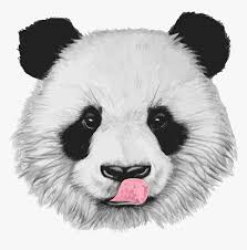 How to draw realistic lips mouth easy step by step tutorial for beginners 2019 duration. Www Bamboolovers Com Realistic Baby Panda Drawings Realistic Panda Face Drawing Hd Png Download Kindpng