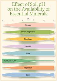 Two of the fastest acidifying methods when it comes to soil are white vinegar and coffee grounds. Your Garden S Soil Ph Matters Mother Earth News