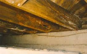 American Basement Solutions How To Fix And Repair Floor Joist Rot Repair Floors Flooring Waterproofing Basement