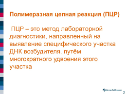 Основы полимеразной цепной реакции (пцр). Otbor Transportirovka I Hranenie Materiala Dlya Issledovaniya Metodom Pcr Prezentaciya Onlajn