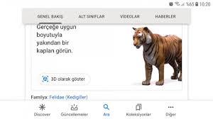 Google Dan Yeni Bir Ozellik Geldi Vahsi Hayvanlar Artik Salonunuzda