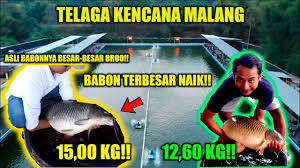 Keseruan Mancing Babak Penyisihan Terakhir Grandprix Nasional Putaran Ke 6 Malang Youtube