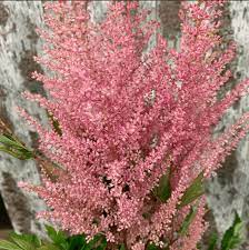 Buy wholesale flowers online or over the phone. Iowa Des Moines Bill Doran Company Wholesale Florist Bulk Flowers Nationwide