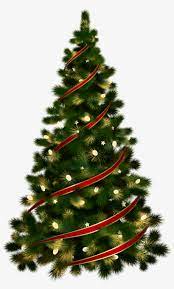 Christmas tree png & psd images with full transparency. Christmas Tree Png Christmas Tree With Transparent Background Transparent Png 2778x4465 Free Download On Nicepng