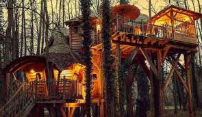 Love room cabane perchée